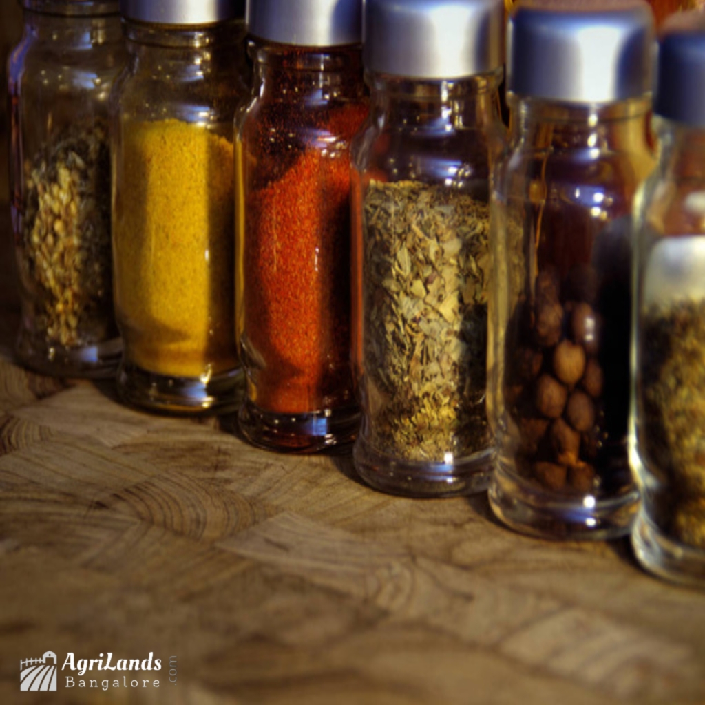 Exploring AgriExport Opportunities for Spices and Condiments near